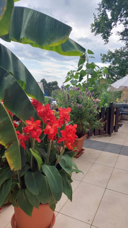 Schoene Aussicht Apartment นีเด็กเกน ภายนอก รูปภาพ
